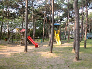Kinderspielplatz im Pinienwald